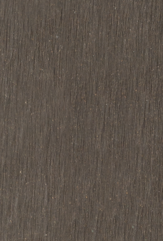 Ebony-copy-e1651763361803-584x760